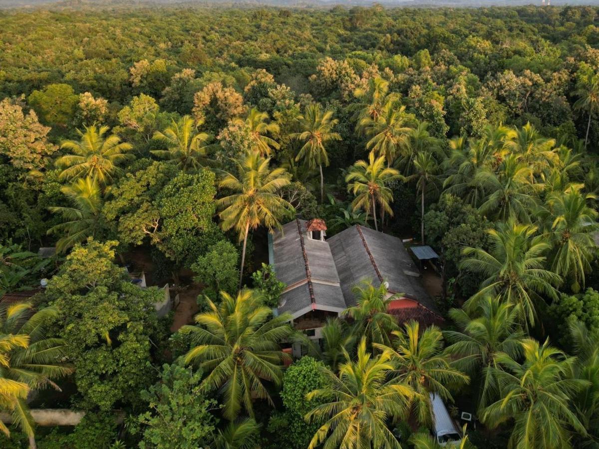 Wild View Stay Habarana Exterior foto