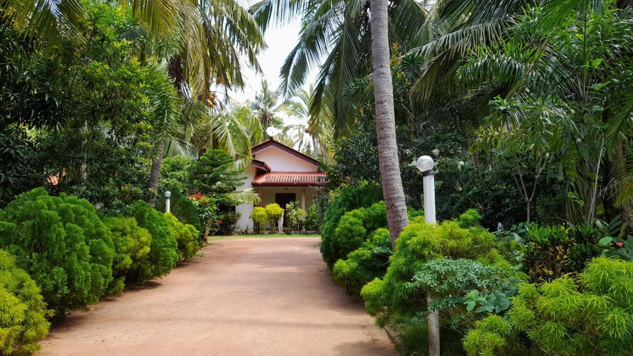 Wild View Stay Habarana Exterior foto