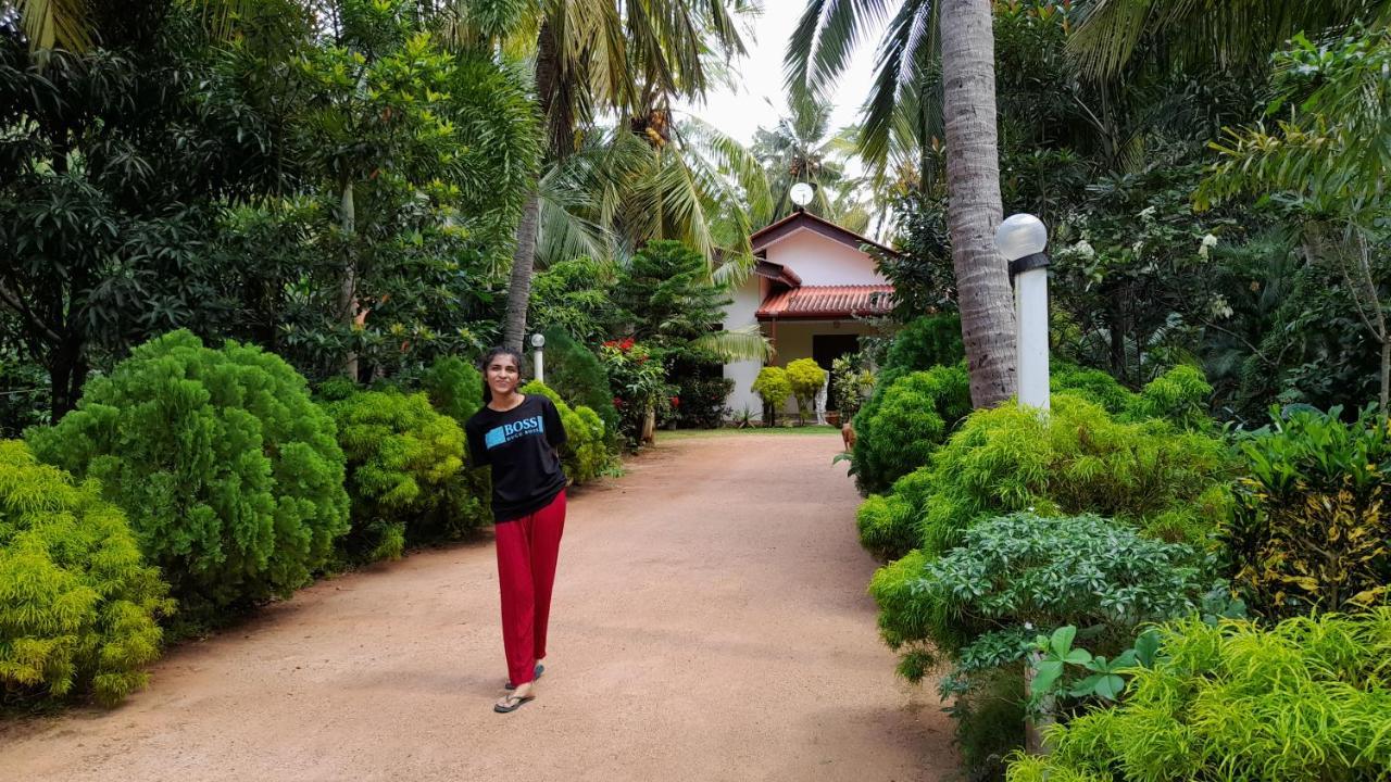 Wild View Stay Habarana Exterior foto